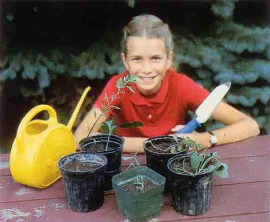 Amy Johnson created a garden of over 150 plants —for free! — by starting plants from cuttings and and transplanting wild seedlings.